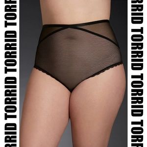 Torrid - Fancy lace & mesh high waisted panty NWT